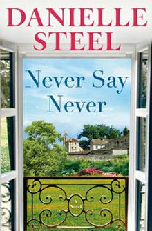 Book cover of "Never Say Never" by Danielle Steel, showing an open window to a scenic countryside view.