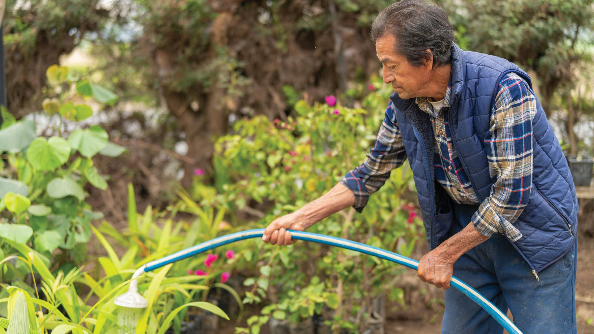 An elderly man waters plants with a hose in a garden, surrounded by greenery and flowers.