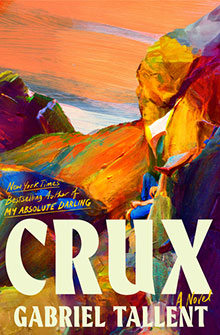 Colorful painting of a person sitting among rocky hills; text reads "Crux, A Novel by Gabriel Tallent.