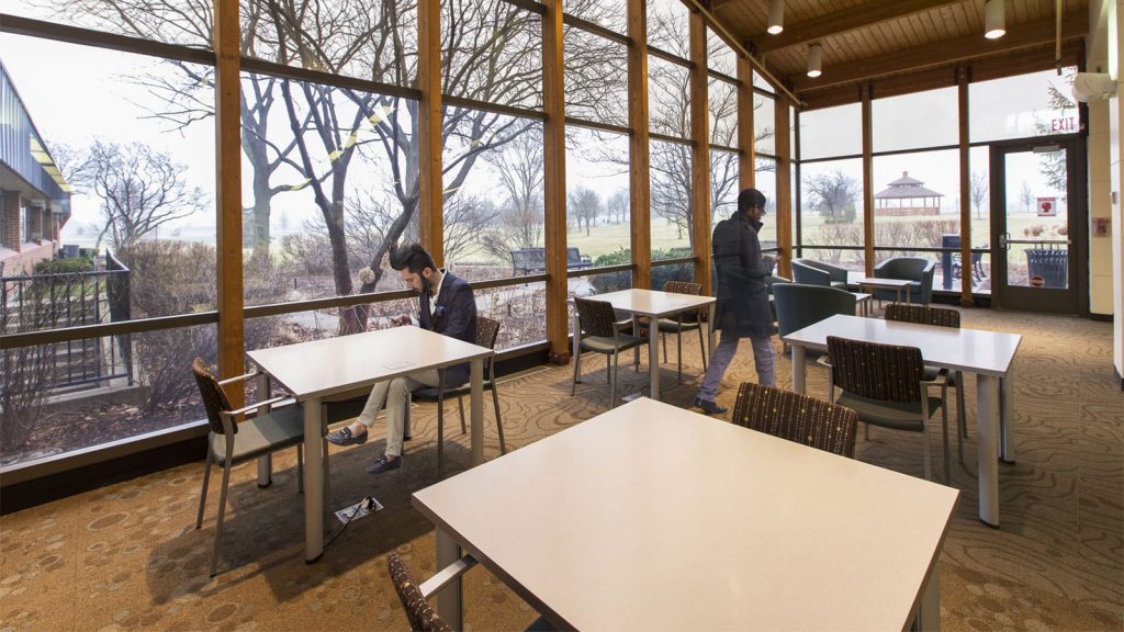 Two people sitting in a library with large windows and a view of a gazebo and trees outside.