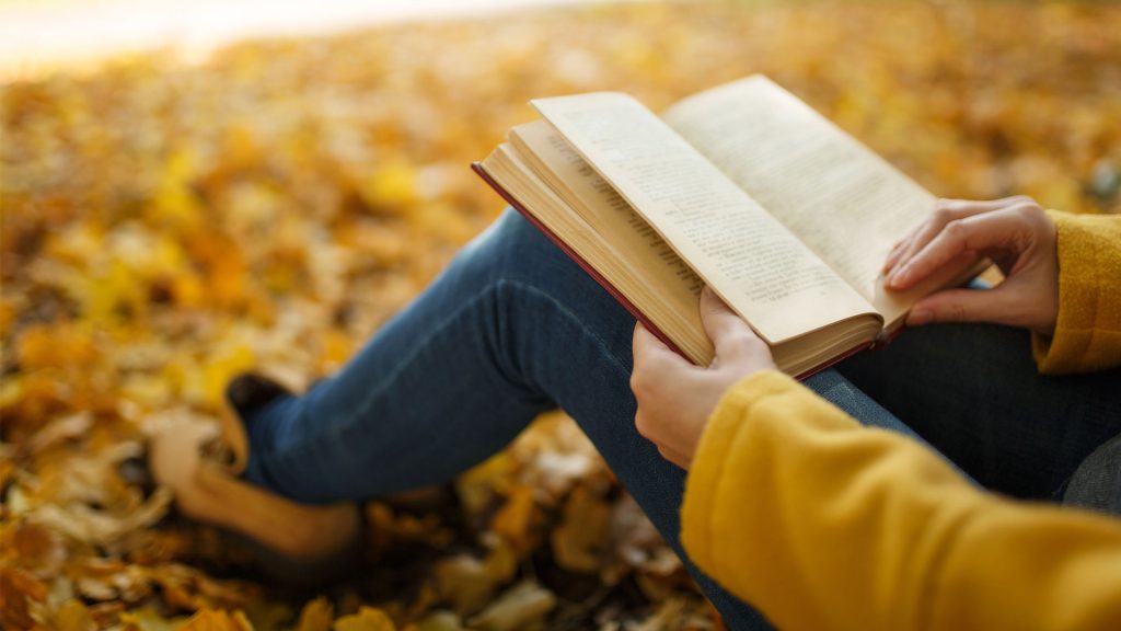 Person in yellow sweater and blue jeans reading a book while sitting on fallen autumn leaves.