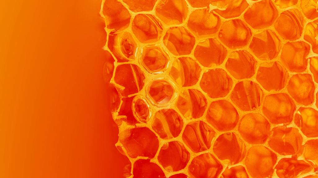 Close-up of golden honeycomb cells filled with honey on an orange background.