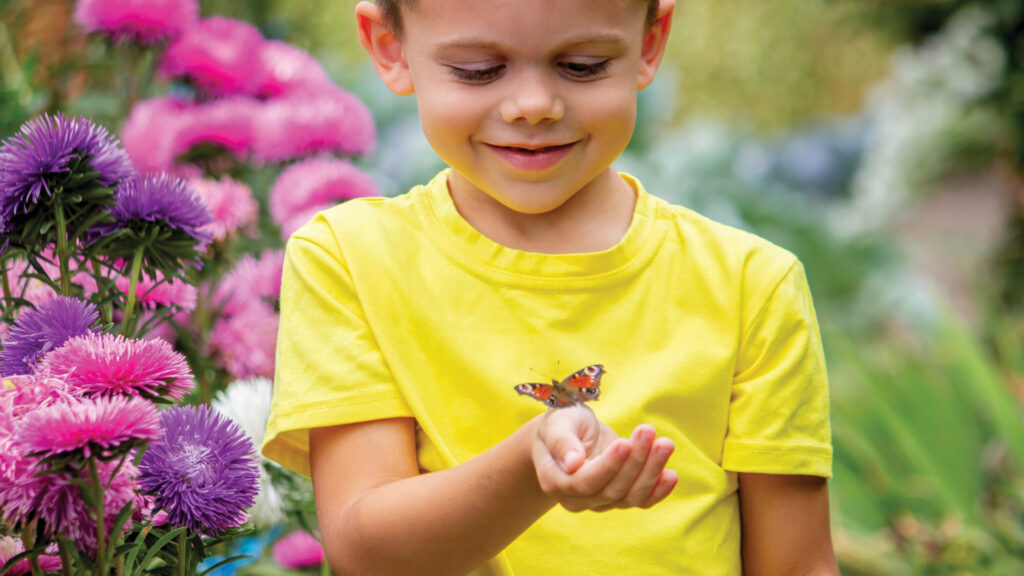 Smiling child in a yellow shirt holds a butterfly on their hand, surrounded by purple and pink flowers.