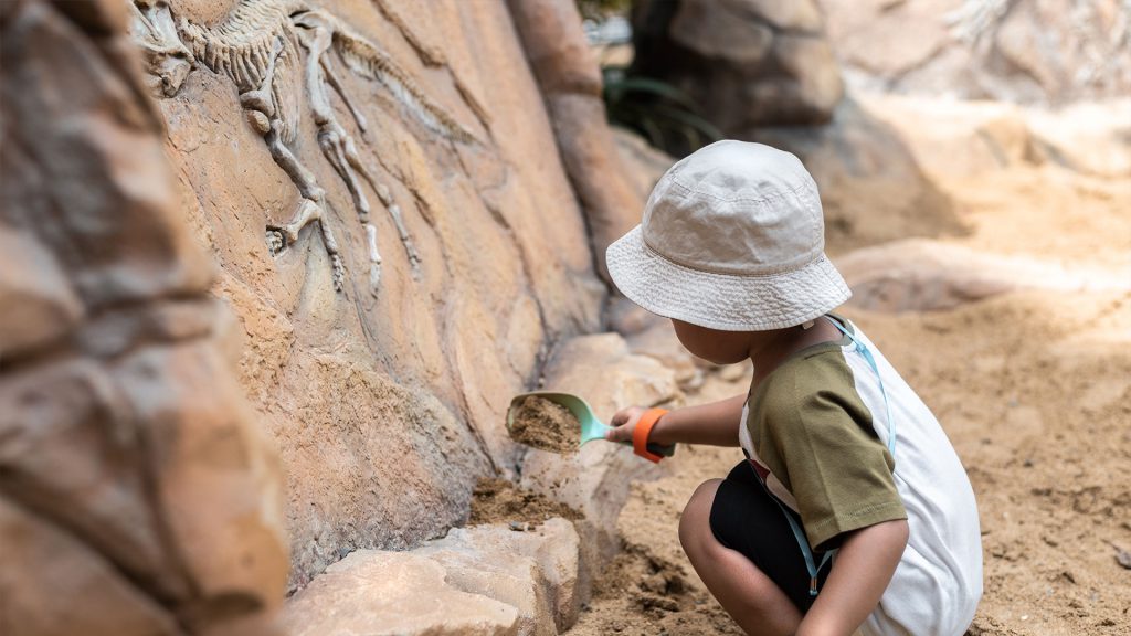 A child wearing a white hat digs near a wall with dinosaur fossils engraved in it.