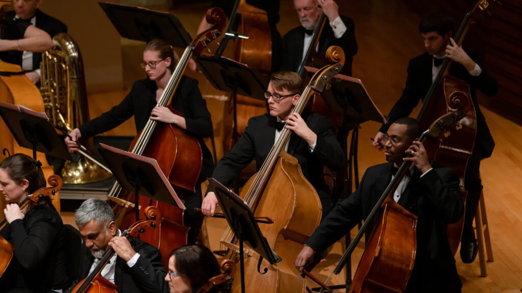 Several musicians in formal attire playing double basses during an orchestral performance.
