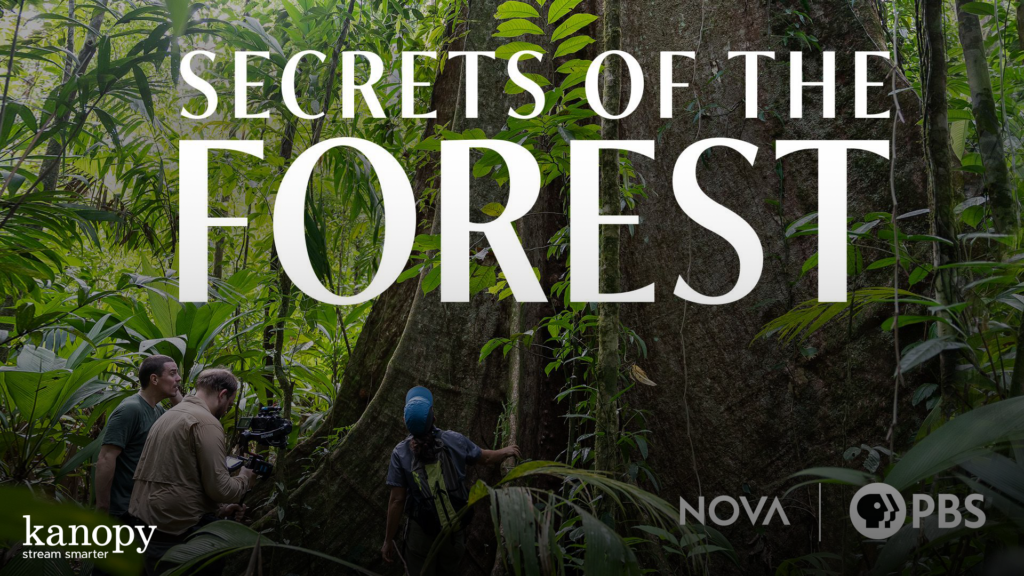 Three people film a man in a dense forest with large trees; text reads "Secrets of the Forest.