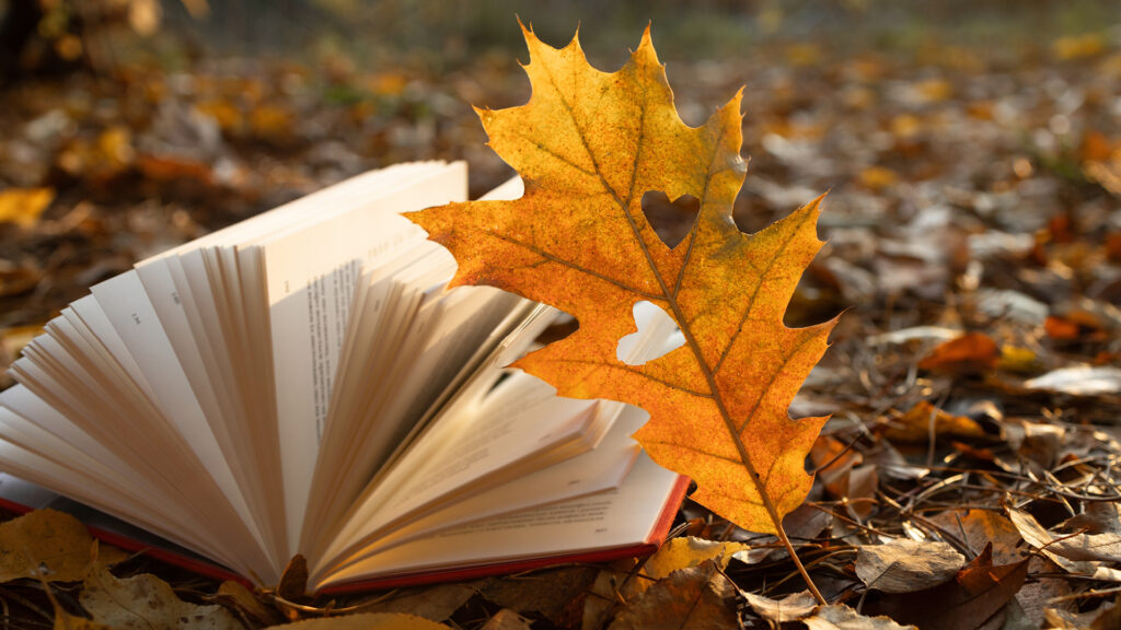 Open book on autumn leaves with a yellow leaf featuring a heart-shaped hole in the center.