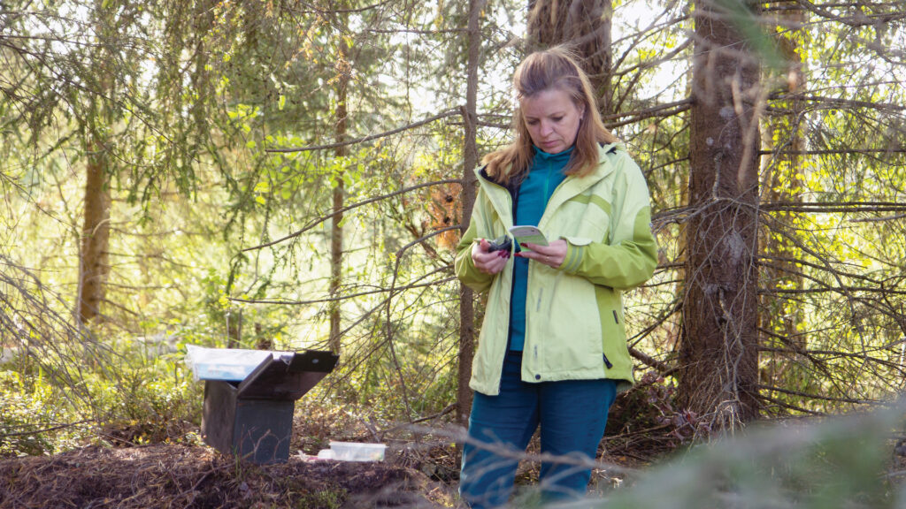 Woman in a green jacket reads a notebook while standing in a forest near a metal box.