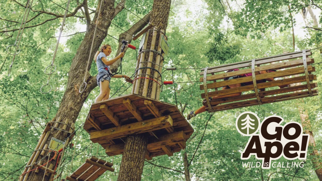 A person navigates a treetop ropes course in a forest, with the Go Ape logo in the corner.