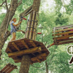 A person navigates a treetop ropes course in a forest, with the Go Ape logo in the corner.