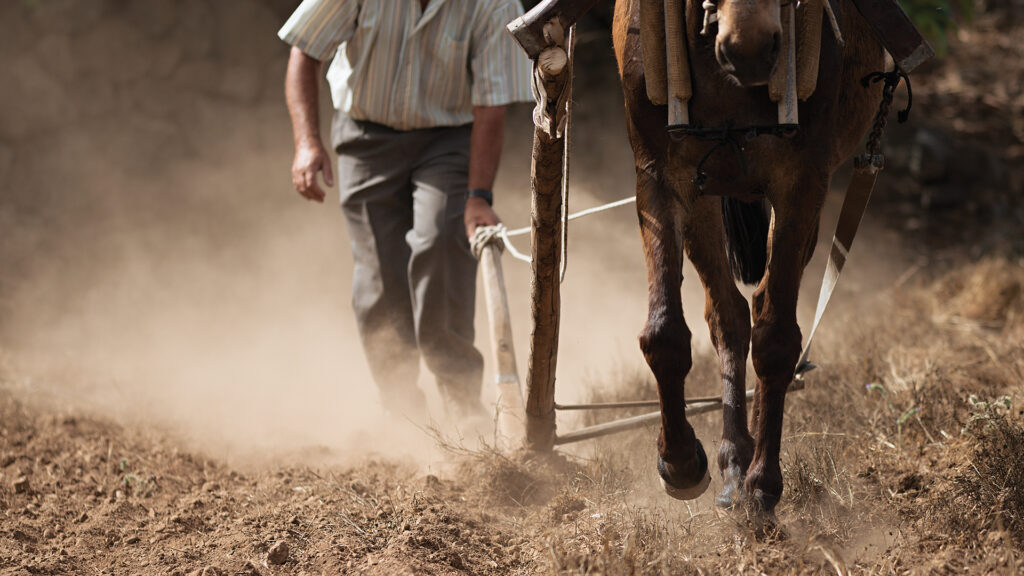 A farmer plows a dry field with a horse, raising dust as they work under the sun.