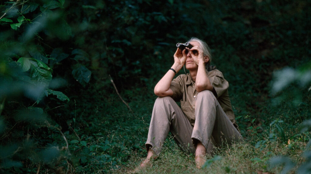 A person sits on grass in a forest, looking up through binoculars, surrounded by green foliage.