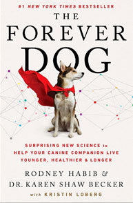 Book cover of "The Forever Dog" featuring a dog wearing a red cape, with texts about longevity and health for canine companions.