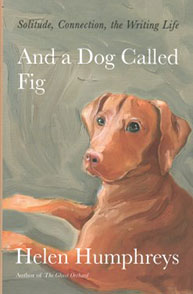 Book cover for "And a Dog Called Fig" by Helen Humphreys featuring a painted brown dog against a pale background.