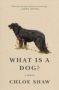 Cover of the book "What Is a Dog?" by Chloe Shaw, featuring an illustration of a black dog standing in a field.