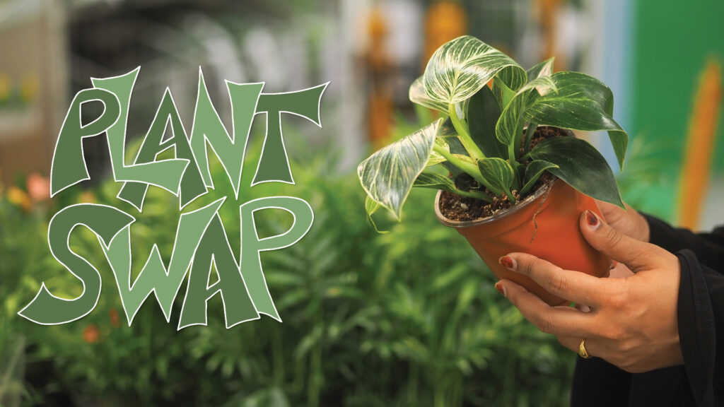 A hand holds a potted plant next to bold text that reads "PLANT SWAP" with greenery in the background.