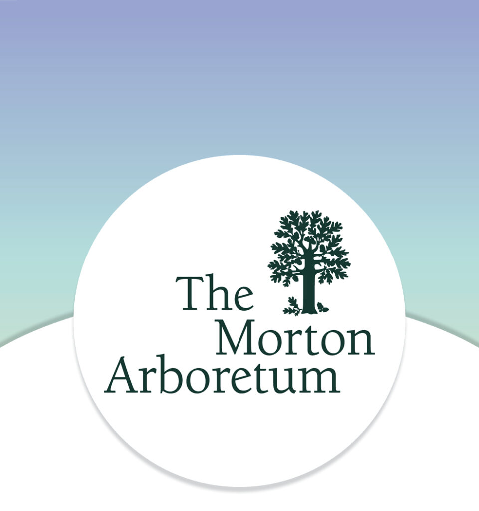 The Morton Arboretum logo with a tree icon on a white circle, set against a blue and green gradient background.