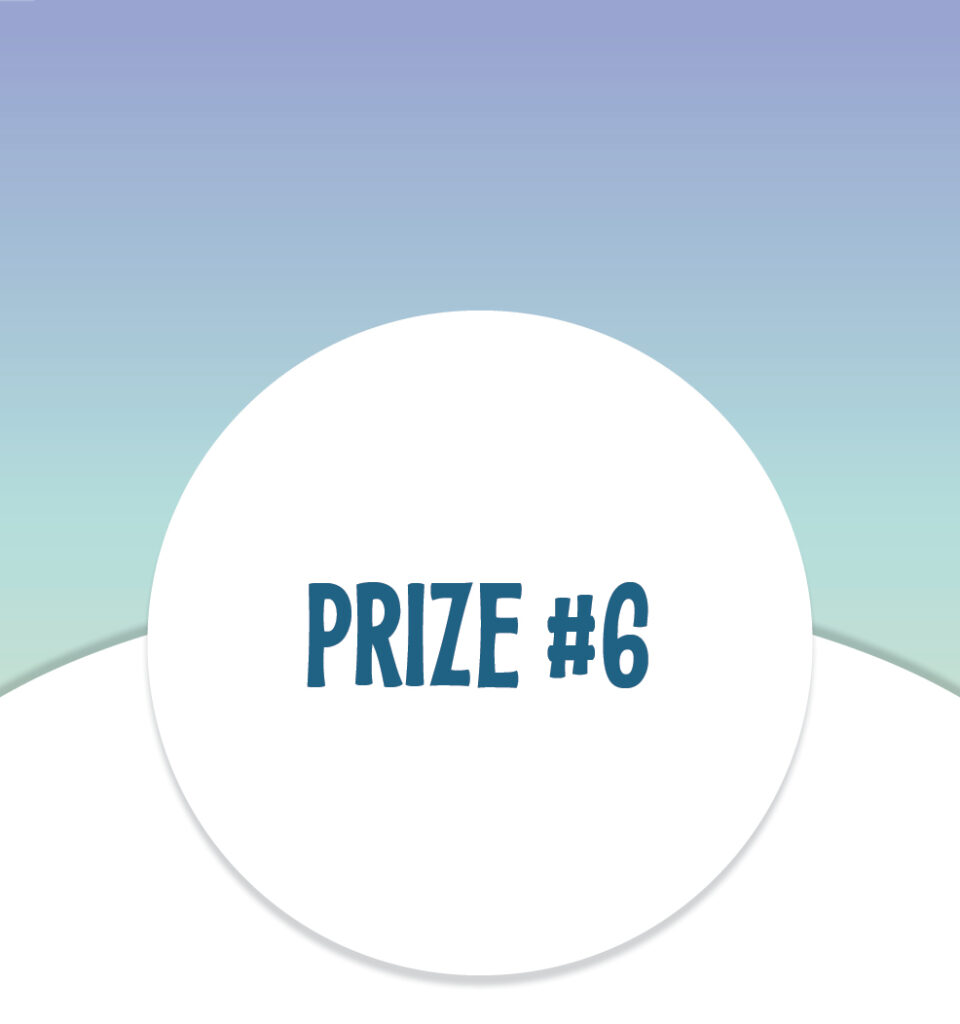 A white oval with the text "PRIZE #6" on a blue and green gradient background.