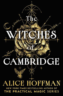 Book cover for The Witches of Cambridge by Alice Hoffman featuring a gold rose illustration on a black background.
