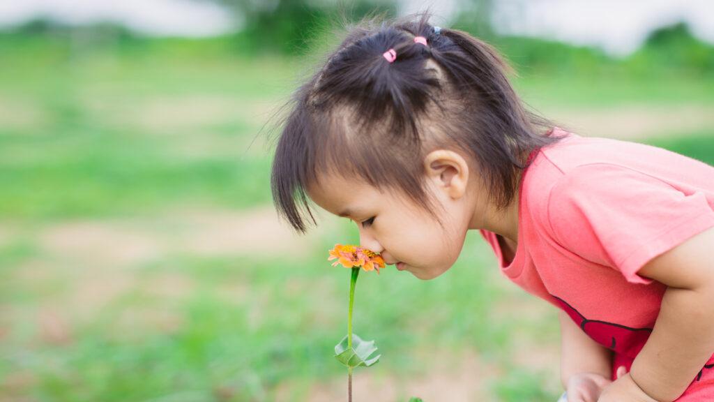 Child in a pink shirt smelling an orange flower in a green field.