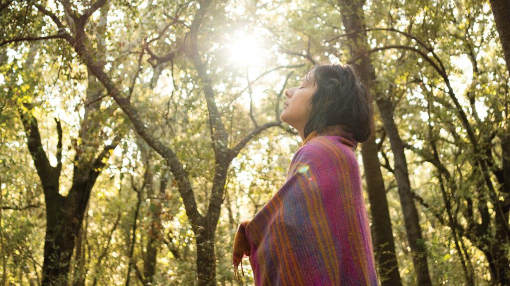 Woman wrapped in a colorful shawl stands in a sunlit forest, looking up at the trees.