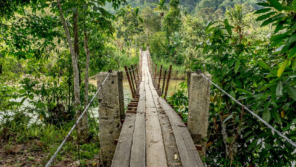 A wooden suspension bridge, weathered and narrow, stretches over a river amidst lush green jungle foliage.