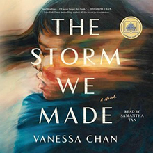 Book cover of "The Storm We Made" by Vanessa Chan, featuring a blurred image of a person and the title in bold letters.