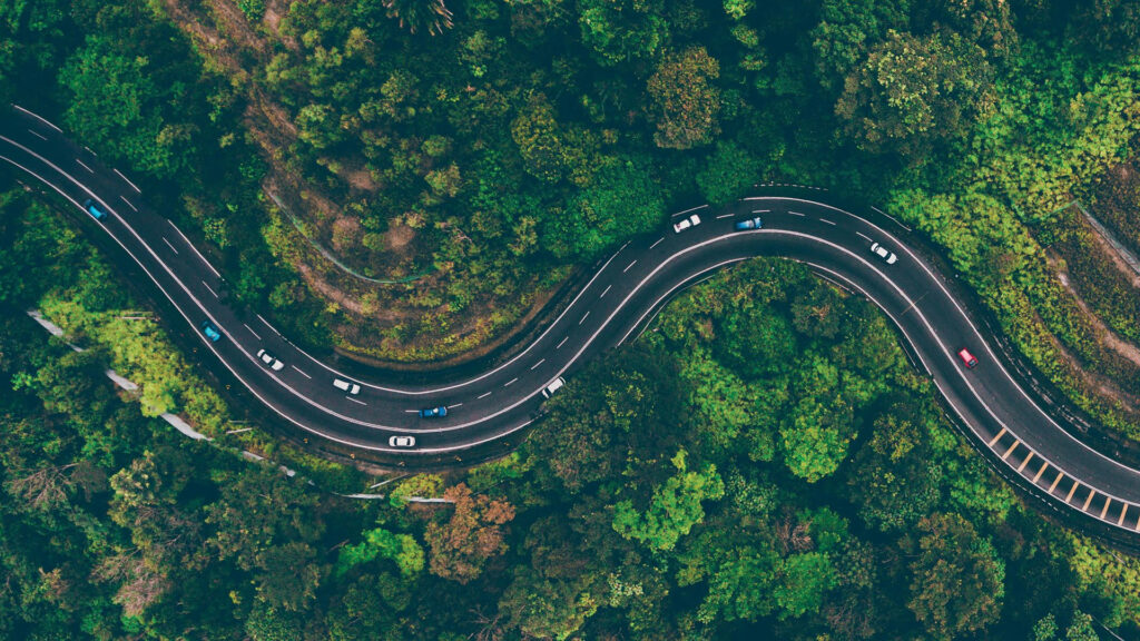 Aerial view of cars driving on a winding road through dense, green forest.