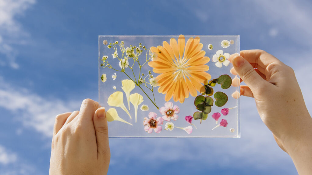 Hands holding a clear sheet with colorful pressed flowers and plants against a bright blue sky.