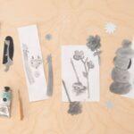 Pencil sketches of plants and stones on paper with a small paint tube on a wooden surface.