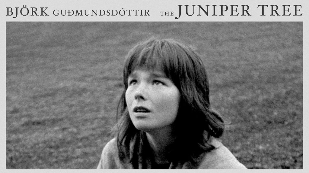 Black and white image of a person looking upwards with grassy background, titled "The Juniper Tree." Text includes "Björk Guðmundsdóttir.