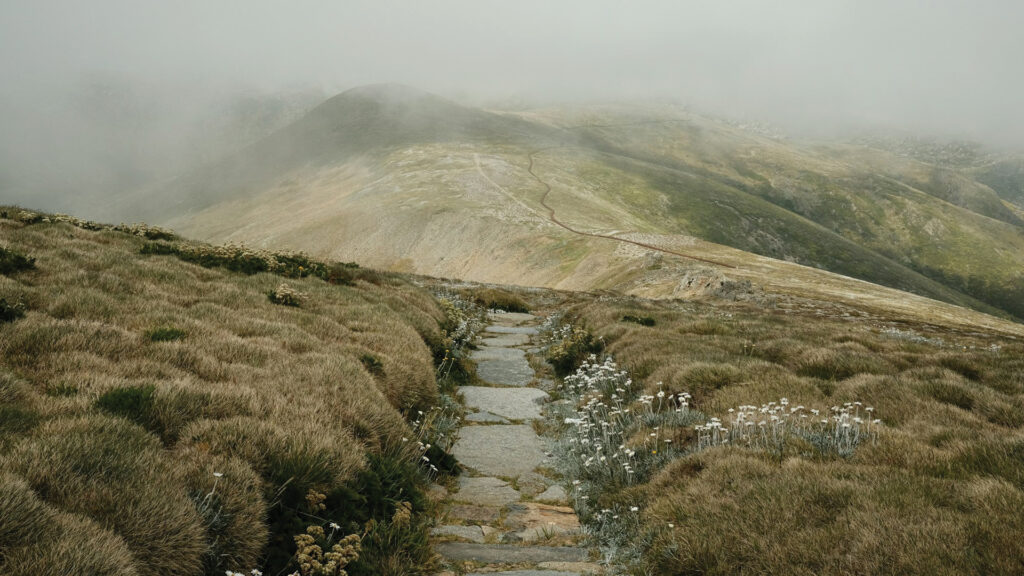 Stone path winding through grassy hills under mist and clouds, with wildflowers along the trail.