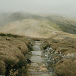 Stone path winding through grassy hills under mist and clouds, with wildflowers along the trail.